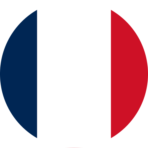 France's flag